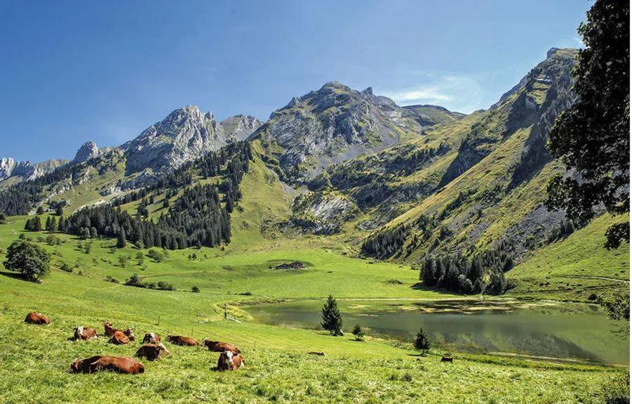 Hotel Les Aravis سان جان دو سكست المظهر الخارجي الصورة