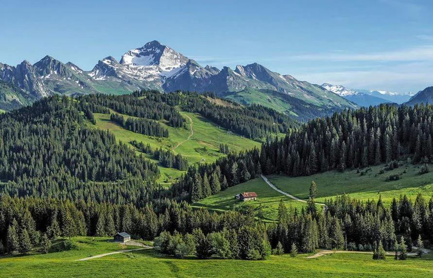 Hotel Les Aravis سان جان دو سكست المظهر الخارجي الصورة